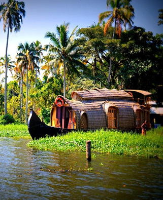 Kerala Honeymoon Packages